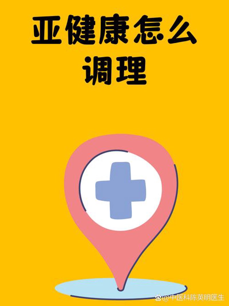 打造完美餐桌：营养膳食指导秘籍